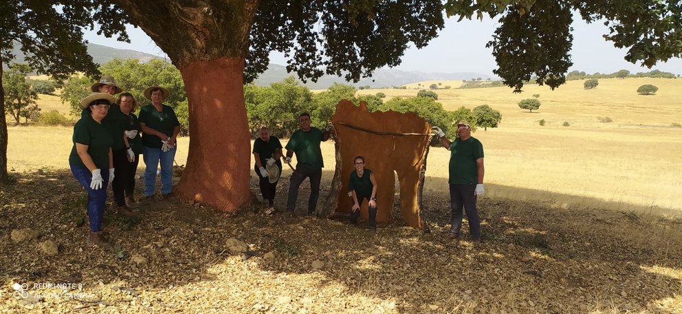 Alumnos del programa de Recualificación y Reciclaje Profesional (RECUAL) “Aprovechamientos Forestales Viso Natural” realizando labores de descorche en Viso del Marqués