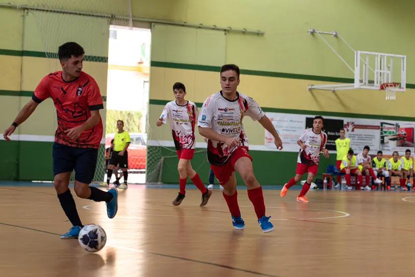 Partido entre el CD VivELA Quijote y el Chillón