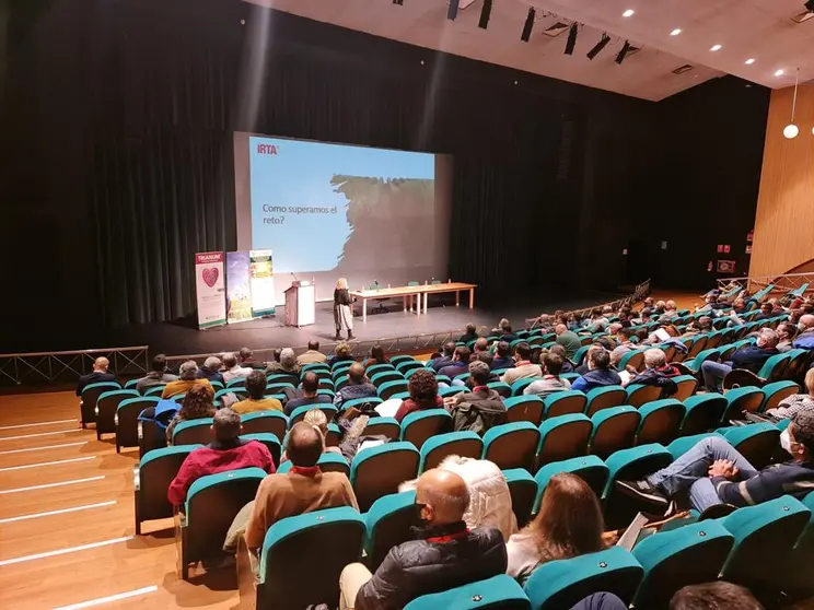 Teatro Auditorio municipal