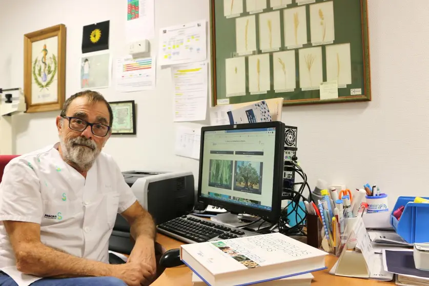 Sociedad Española de Alergología