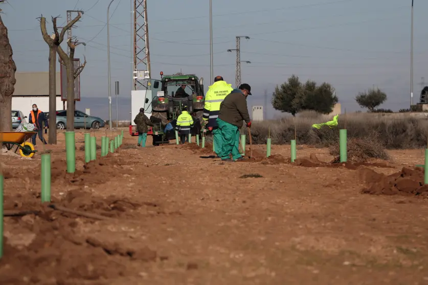 Plantación de 1000 árboles en el polígono industrial de Manzanares