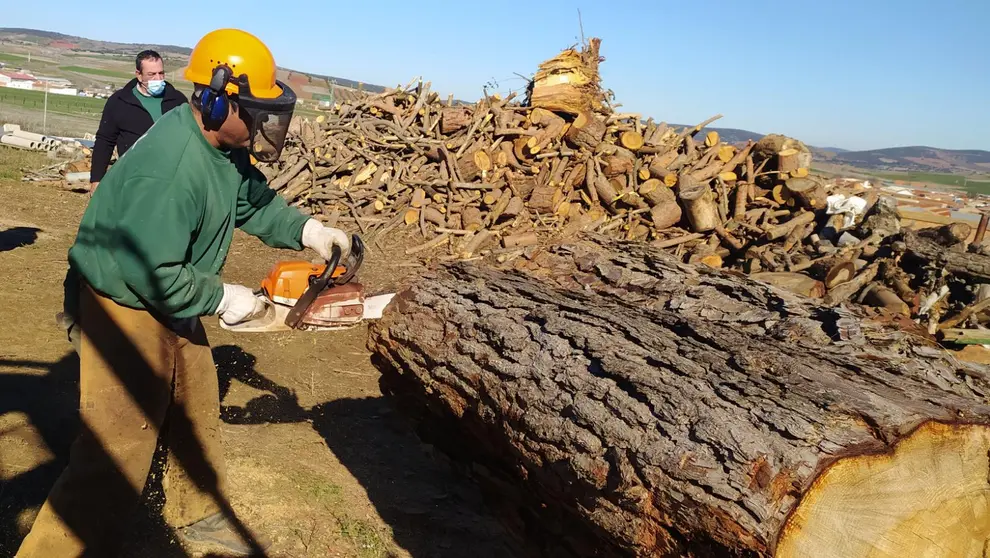 RECUAL forestal Viso del Marqués