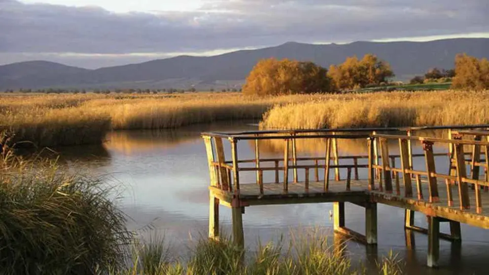 Tablas de Daimiel