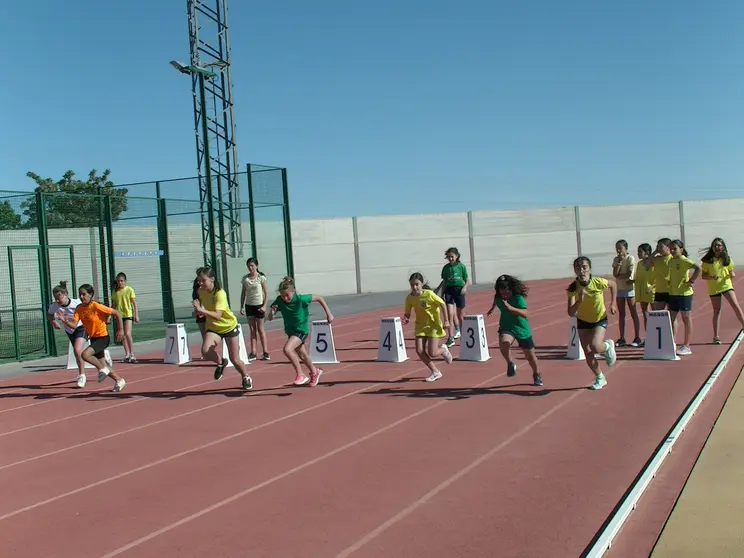 Olimpiadas escolares de Manzanares