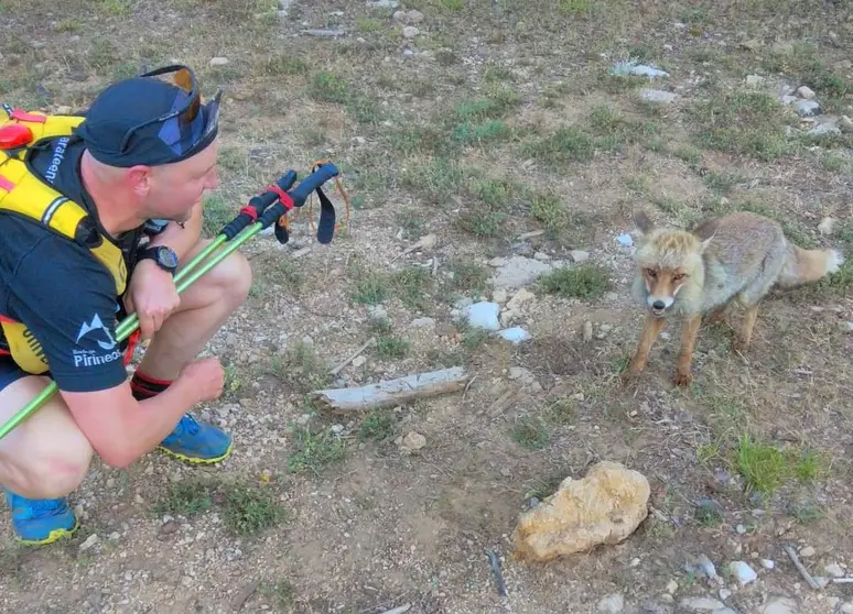 Augusto se encontró a este zorro durante el trail de Cazorla