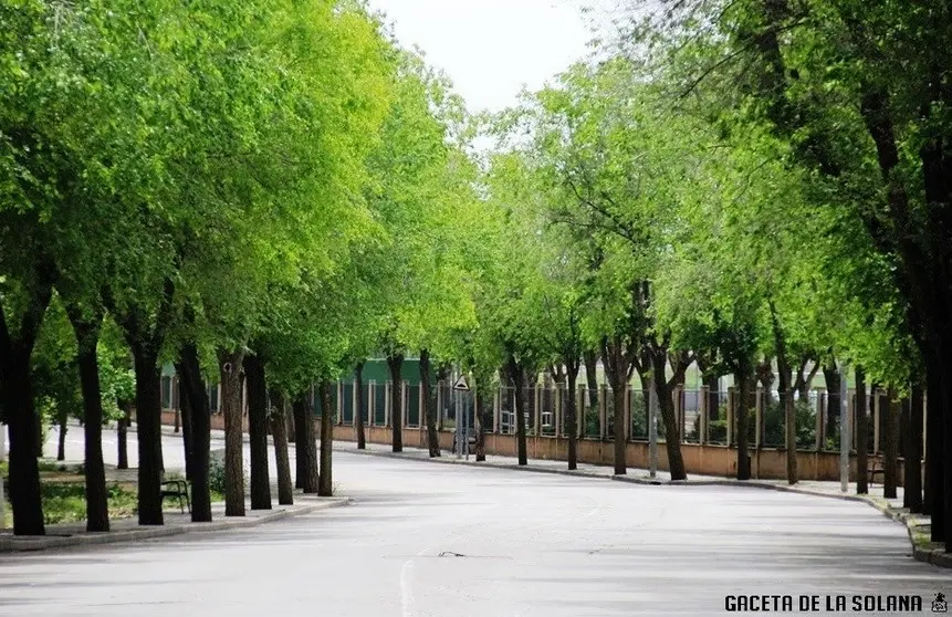 Varios jóvenes han sido denunciados por consumir alcohol en la Avenida del Deporte