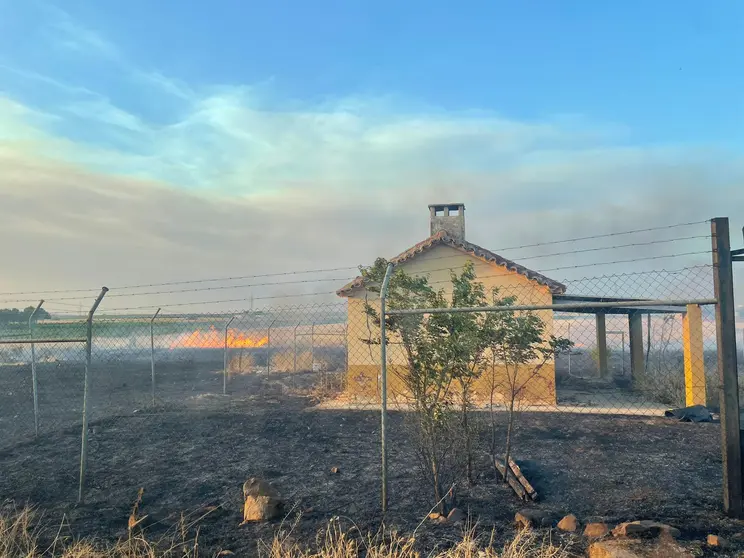 Incendio en la avenida de Castilnuevo