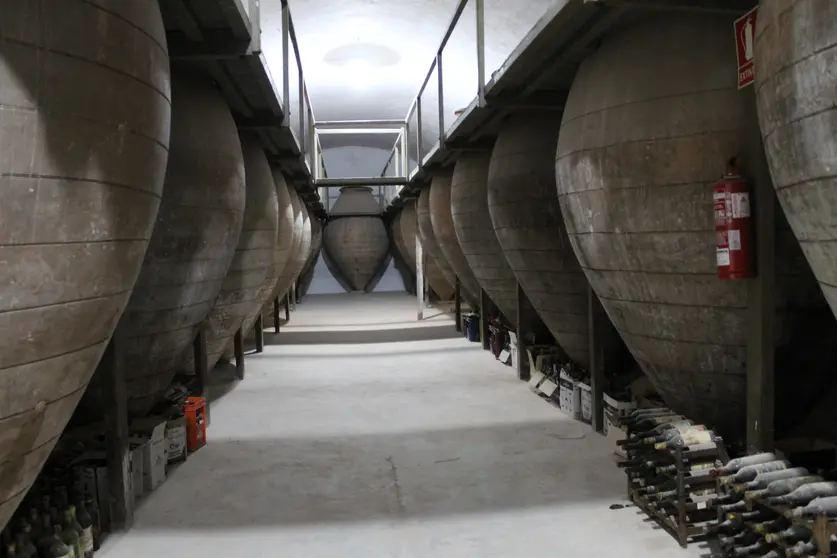 La cueva del Museo del Vino recupera parte de su aspecto original