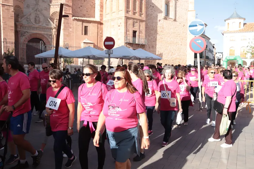 Marcha Rosa de Manzanares