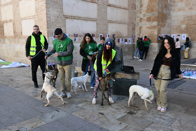 JORNADA CANINA