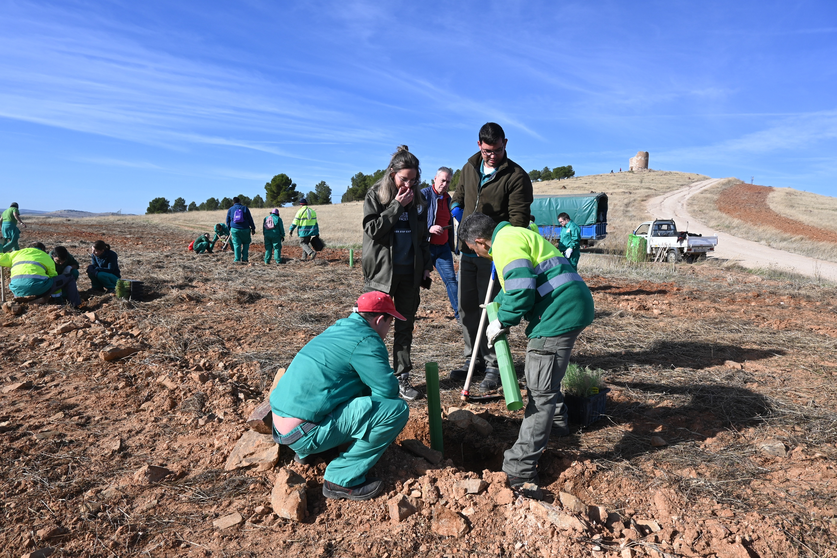 PLANTACION