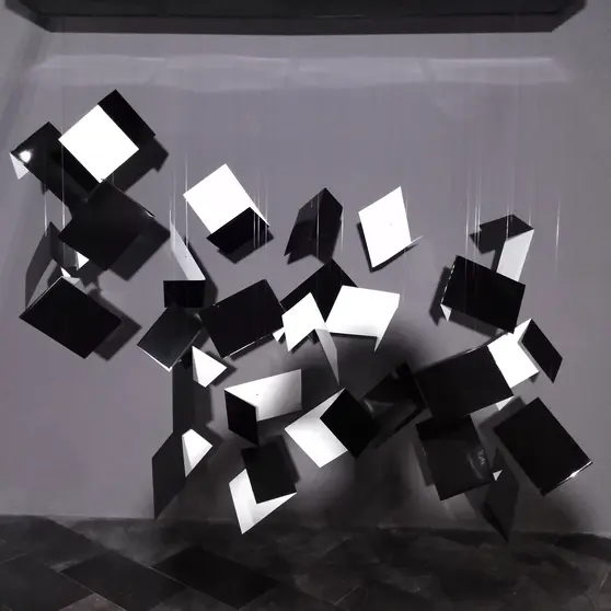 Fotografía de la obra Exitus2, de Aurora Cid