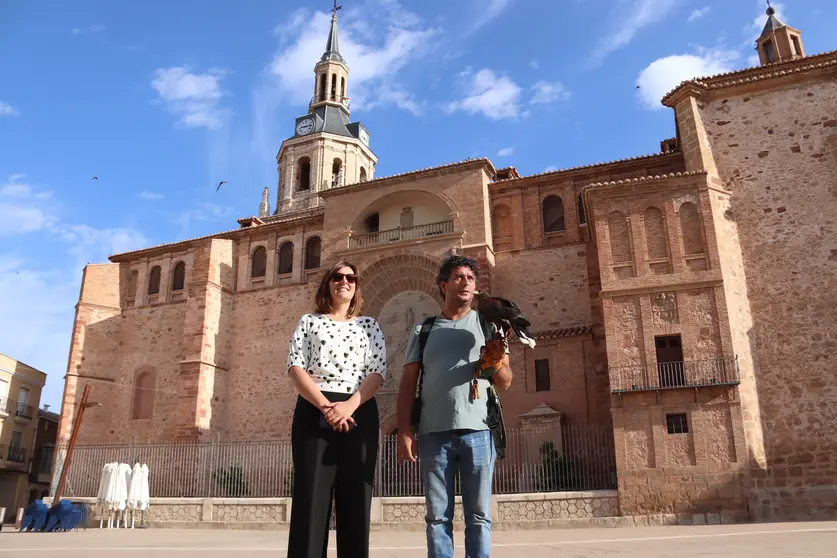 Águila de Harris para el control de la plaga de palomas (9)