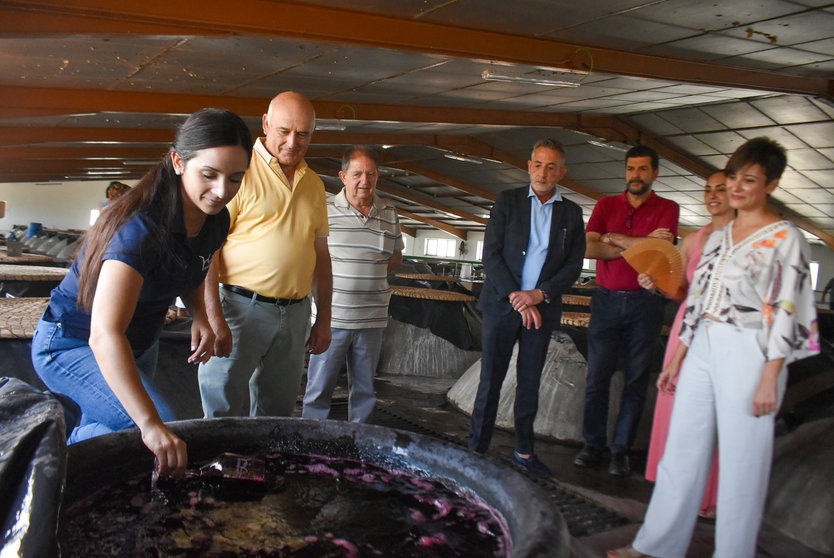 Visita Isabel Rodríguez a Cooperativa Vinícola de Valdepeñas (2)