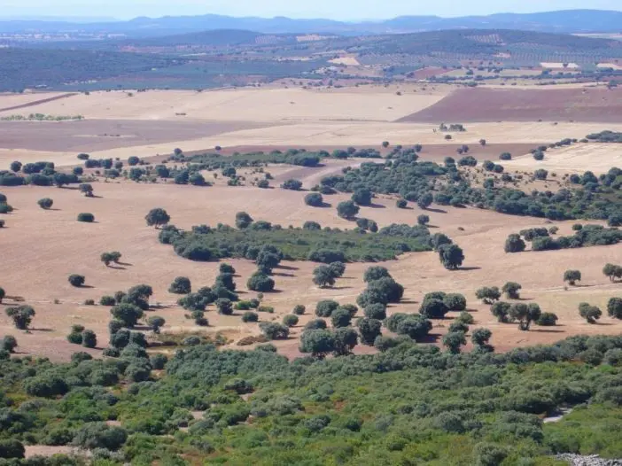 Mosaico mediterraneo de los Campos de Montiel