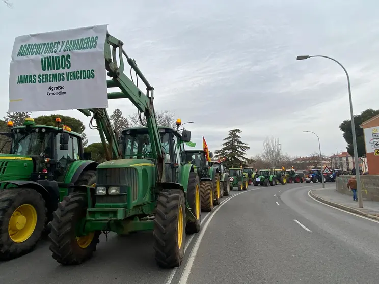 Manifestación de agricultores en Ciudad Real (1)