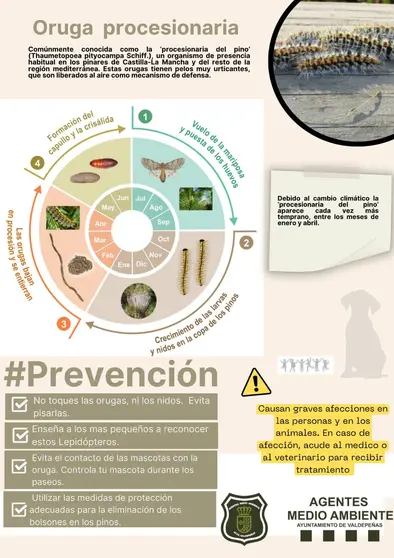 PROCESIONARIA PREVENCIÓN