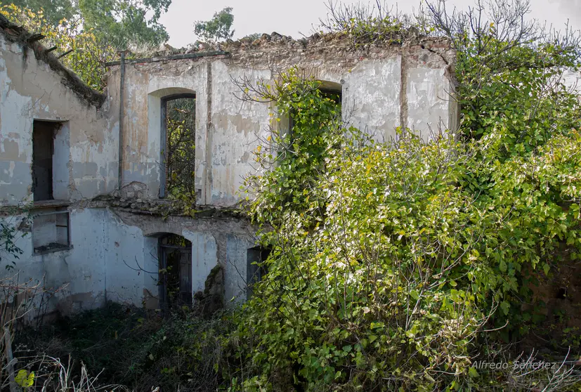 Fotografía de Alfredo Sánchez Alcaide.