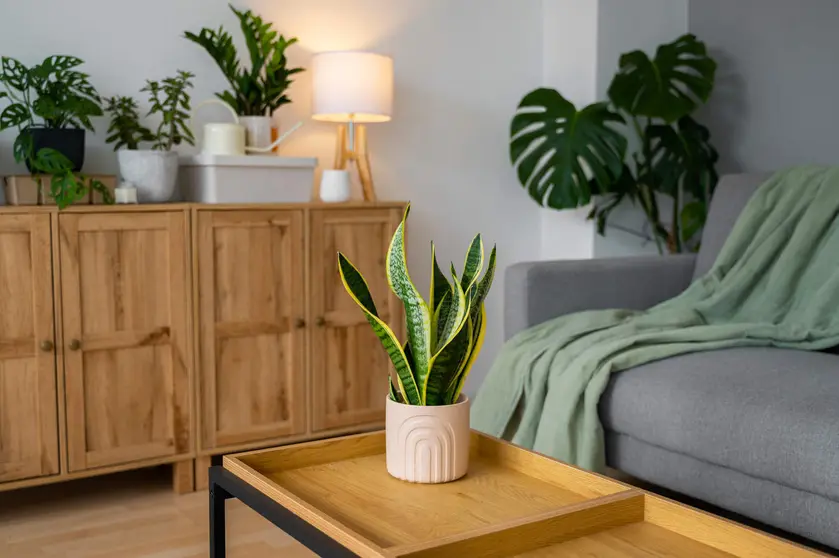Cómo desatar el poder de las ofertas: Estrategias para aprovechar las mejores promociones en muebles y artículos para el hogar