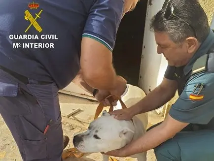 Perro abandonado y encerrado