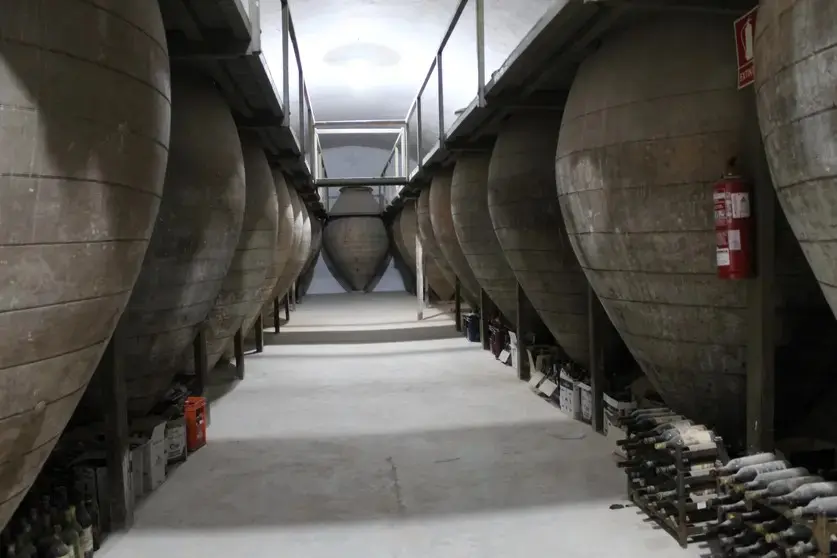 Museo del Vino Valdepeñas