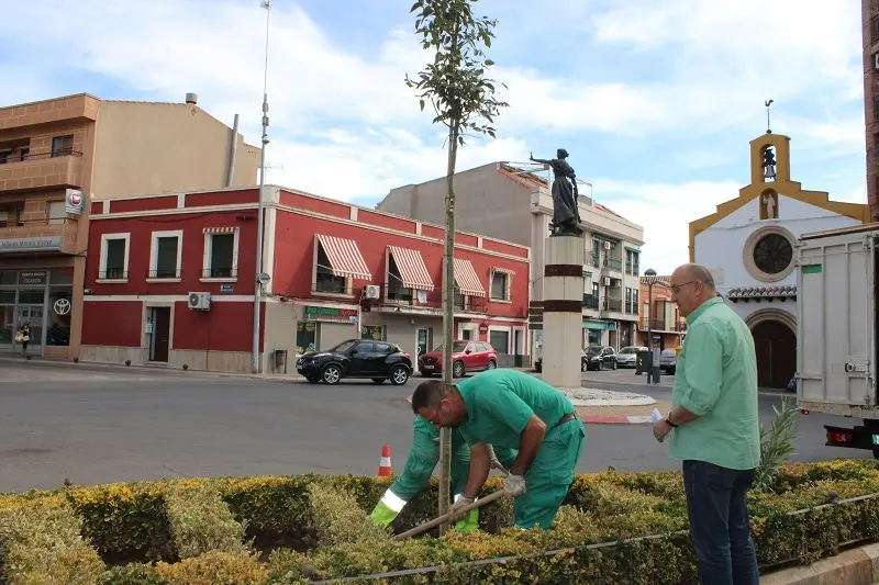240925 VA-PLANTACION