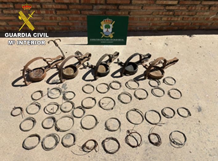 Lazos y cepos intervenidos