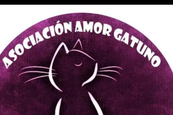 Amor Gatuno