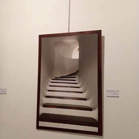 Tras los pasos del blanco. Fotograf&iacute;a sobre lienzo de Nieves L&oacute;pez