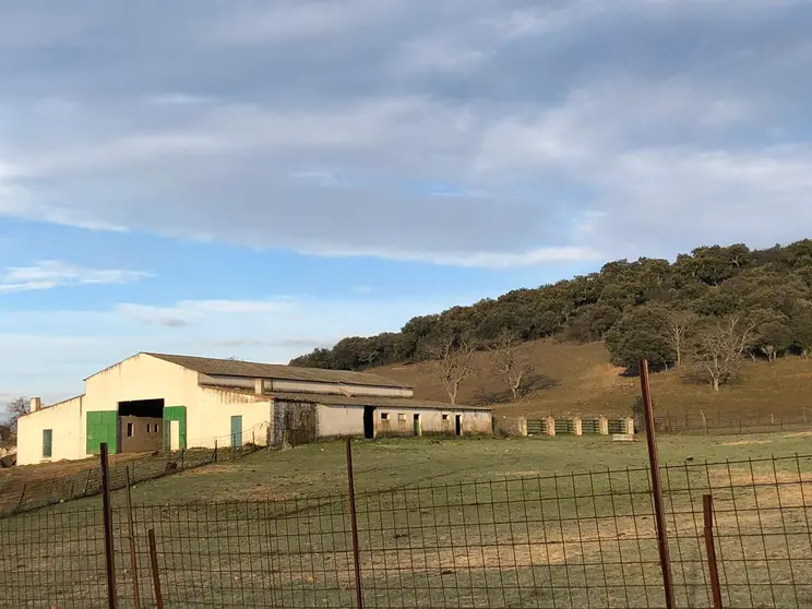 FOTO-SEGURO-EXPLOTACION