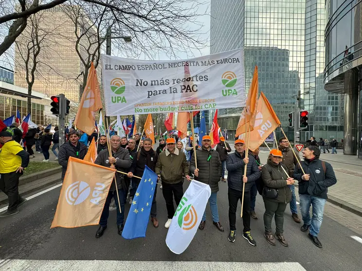 Manifestaci&oacute;n Bruselas