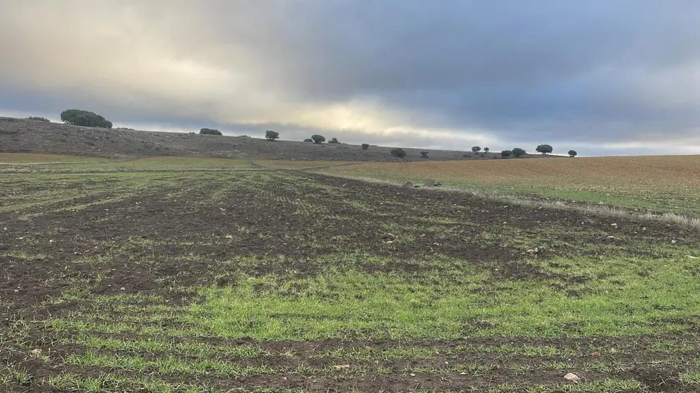 Da&ntilde;os en las explotaciones