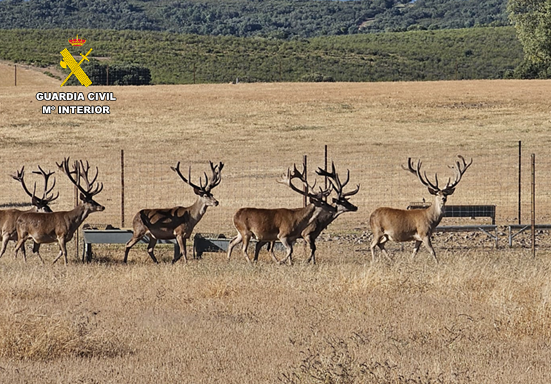 Presentaci&oacute;n1