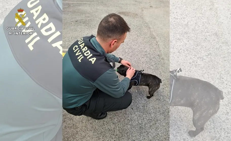 GUARDIA CIVIL CON CACHORRO INCAUTADO