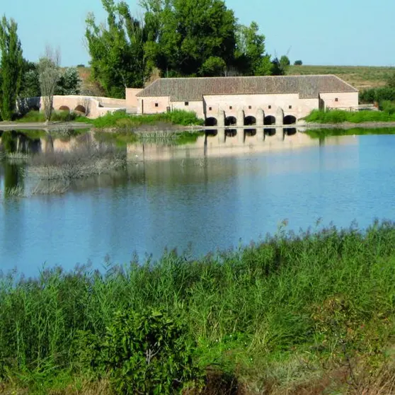 Imagen. Parque Nacional Tablas de Daimiel