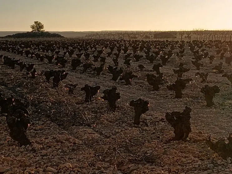 HELADA 30 MARZO  (4)