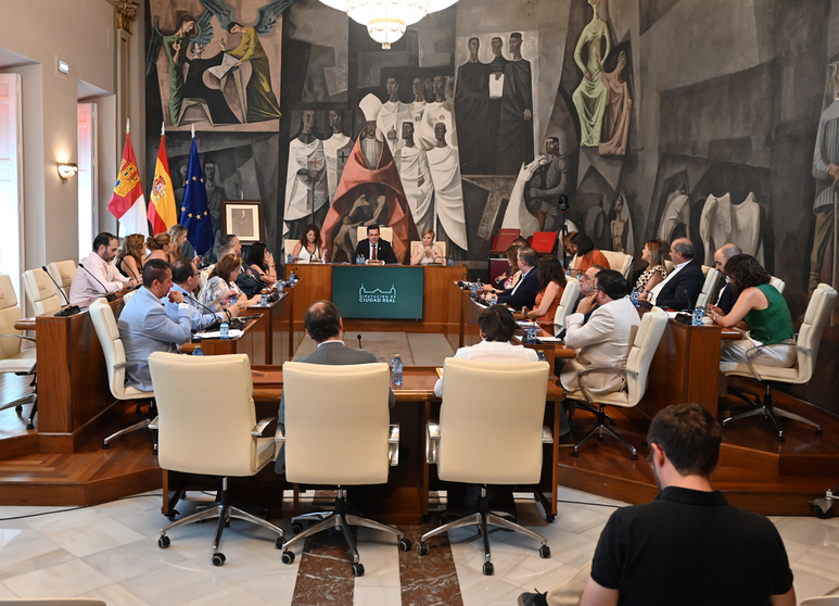 Pleno de la Diputaci&oacute;n de Ciudad Real