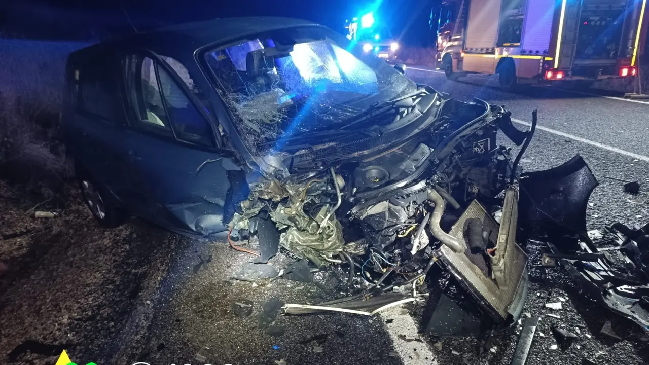 WhatsApp Image 2026-01-26 at 11.05.47