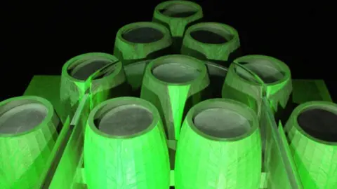 PUERTAVINOALZHEIMER-VERDE-1024x500_c