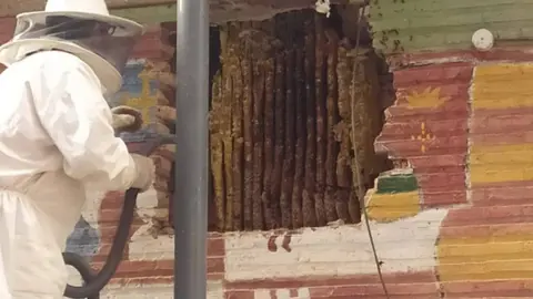 1594016089_657719_1594017087_noticia_normal_recorte1