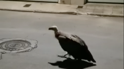 Captura de pantalla 2020-09-22 a las 15.00.58