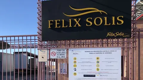 Bodega Félix Solís SL