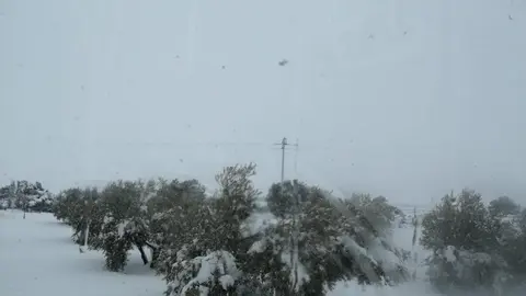 Campo nevado