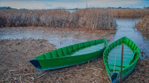 138354721_3816045821749032_6222181145925172015_o