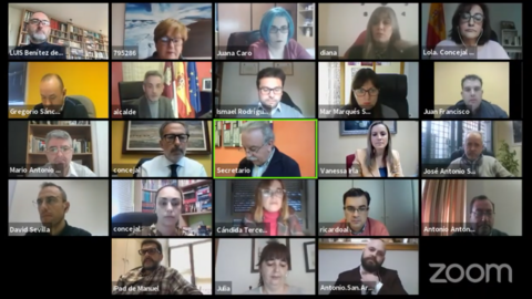 Pleno extraordinario de enero