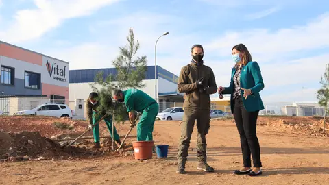 Recuperación de una zona verde en el polígono industrial de Manzanares