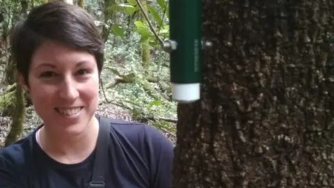 Ana Isabel García-Cervigón