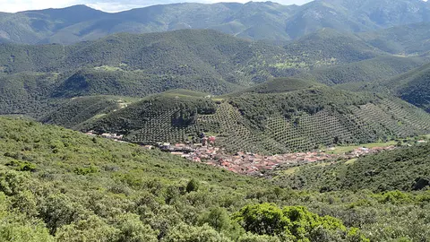 Solana del Pino
Foto: Javier martinlo