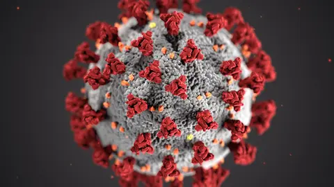 Coronavirus