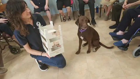 1 afenade El Progreso